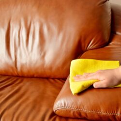 How to Clean Leather Sofa