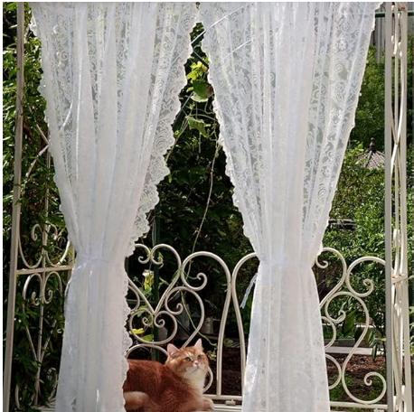 victorian lace curtains