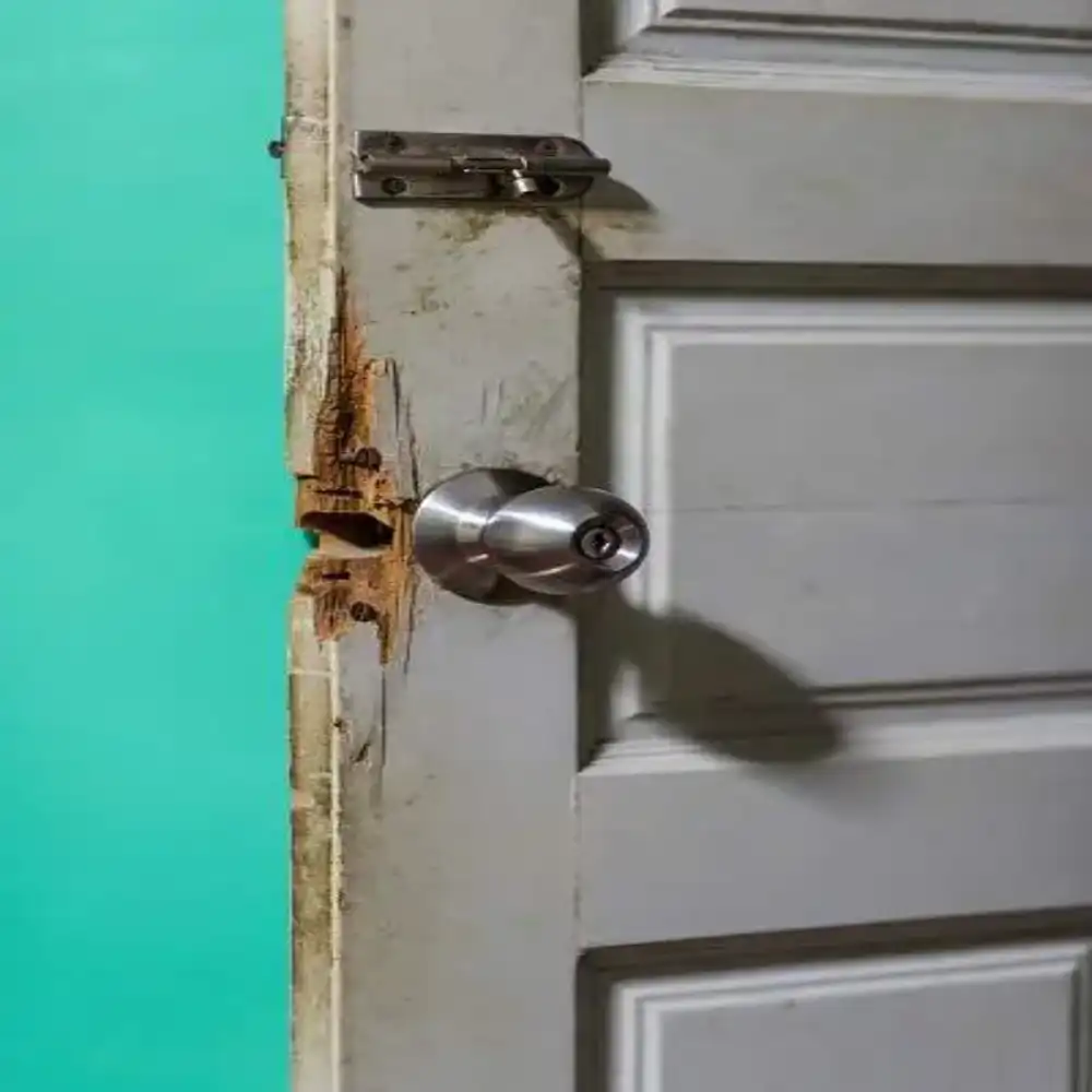 Doors Repairing