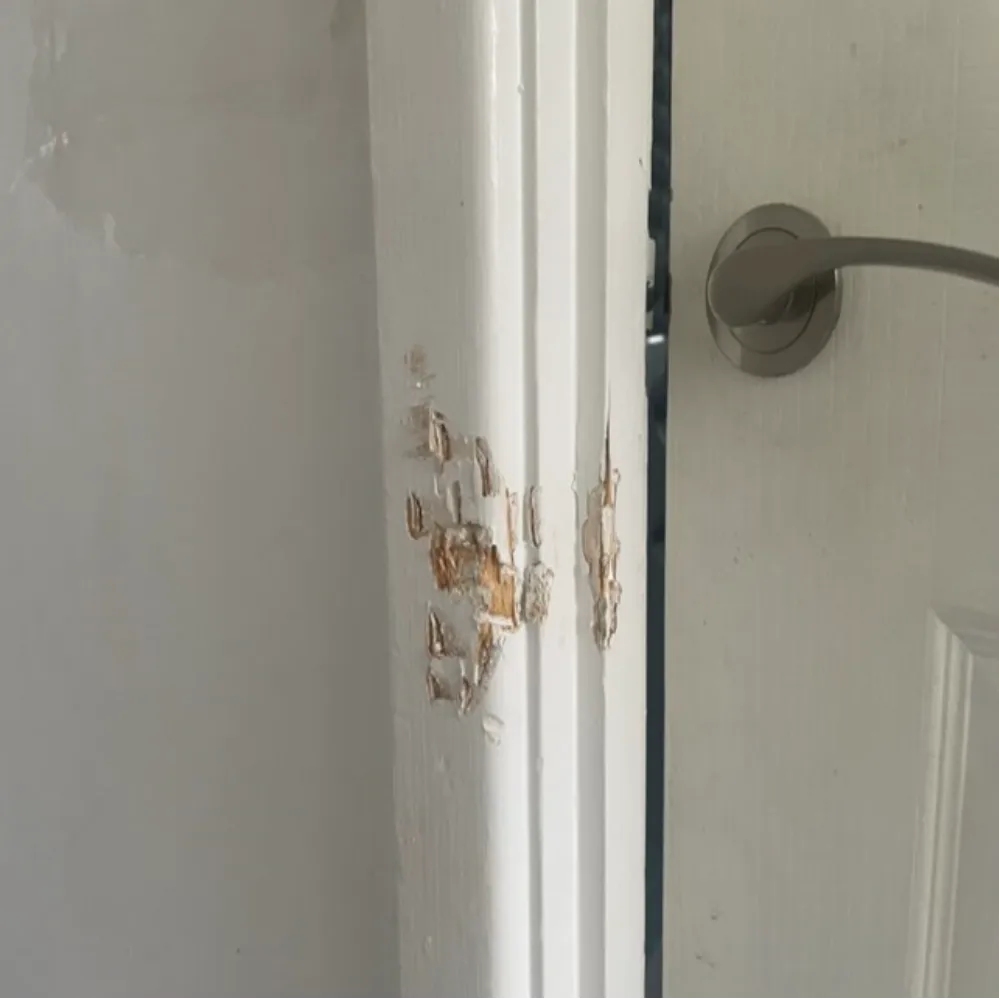 Doors Repairing