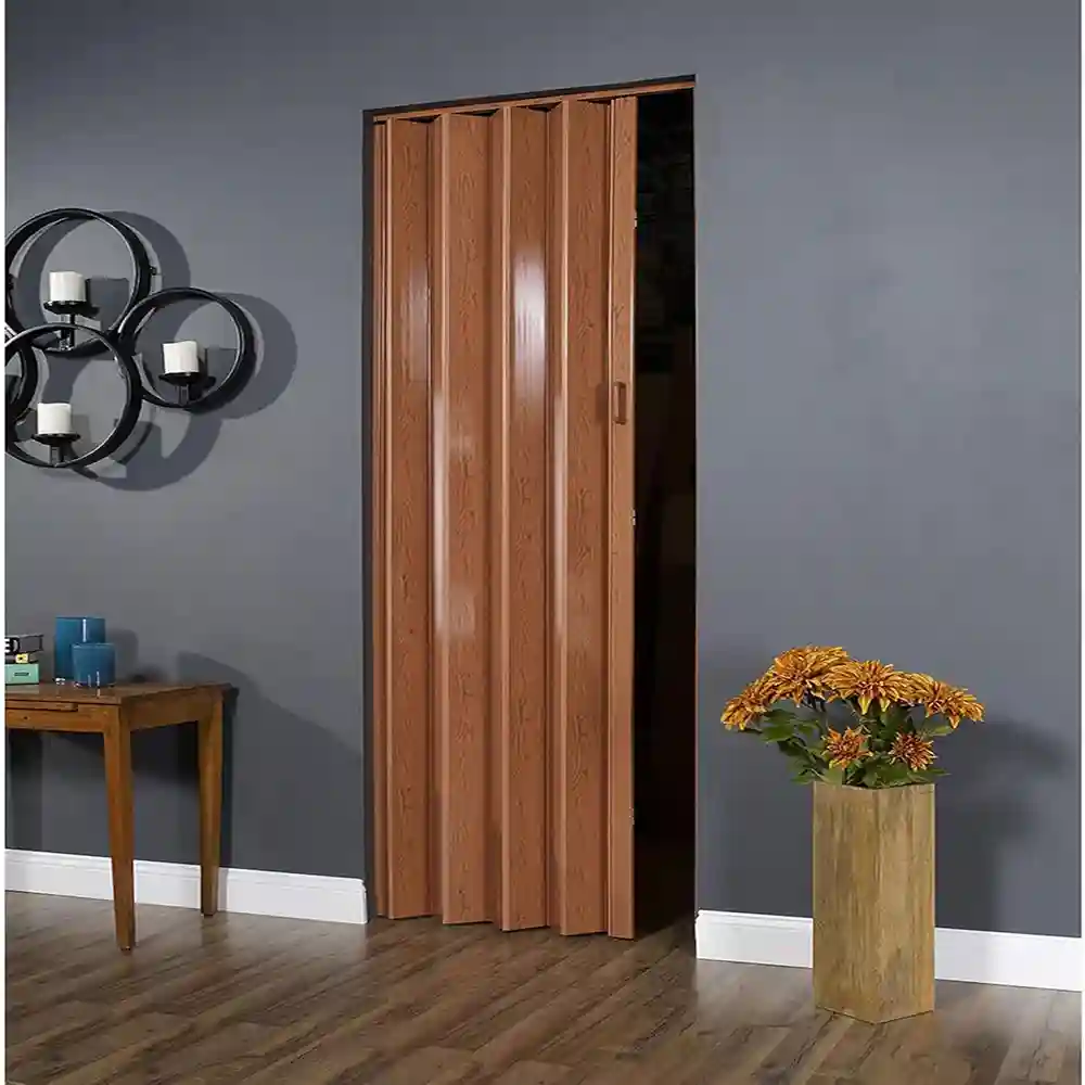 Folding Door