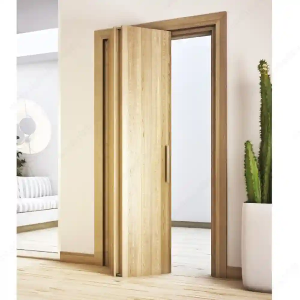 Folding Door