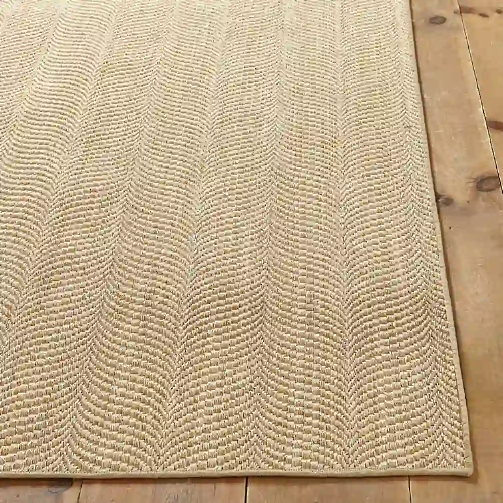 Sisal Rugs
