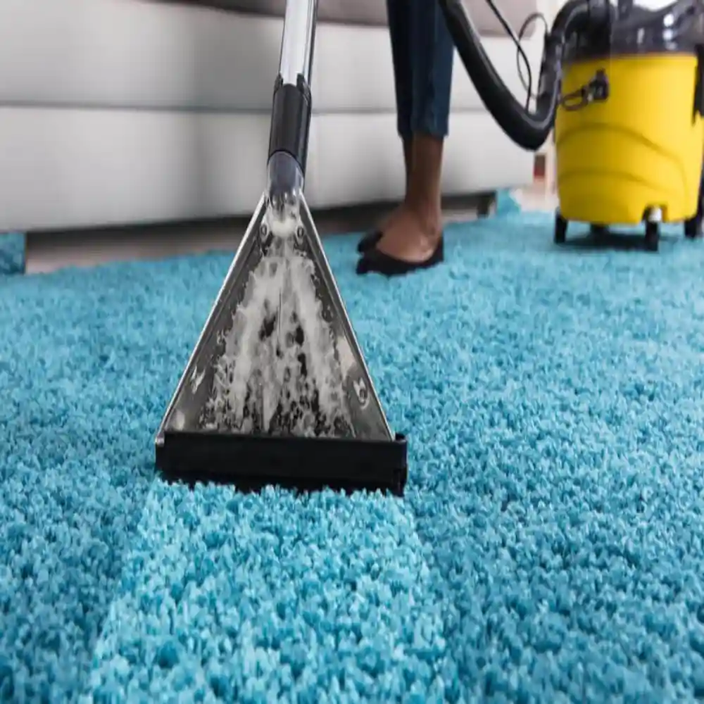 Carpets Services