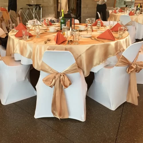 Loose Chair Covers